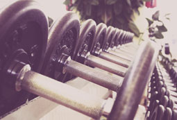 Fitnesstrainer A-Lizenz